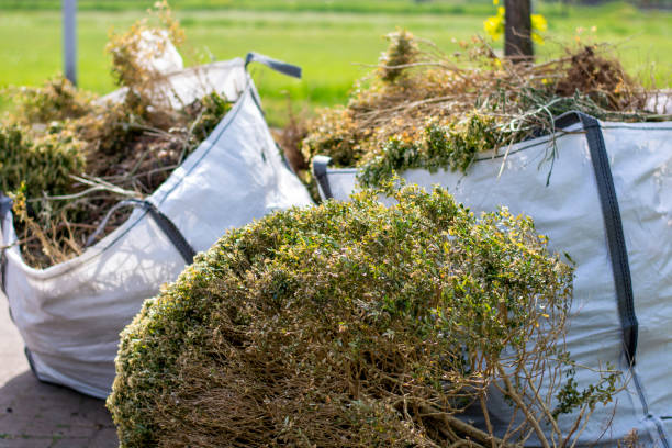 Best Affordable Junk Removal Services  in Carlisle, KY